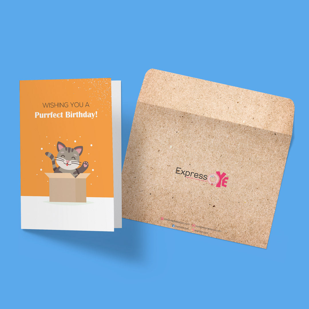 Purrfect Birthday
