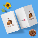 Nuts About You